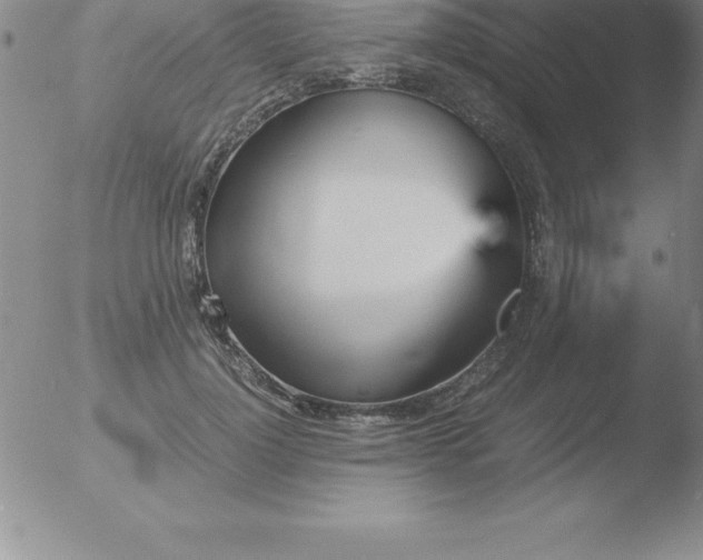 X0000051910748200507082029