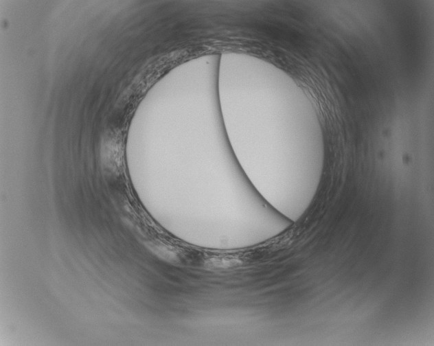 X0000051910749200507082029