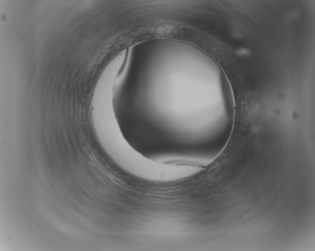 X0000051910750200507082029