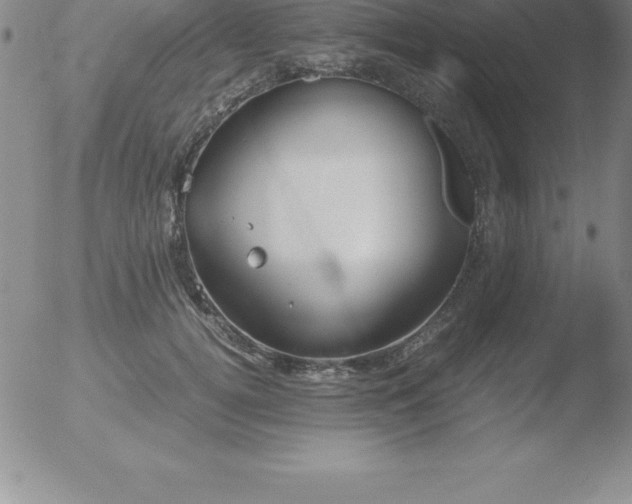 X0000051910752200507082029