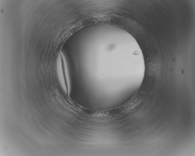 X0000051910756200507082029