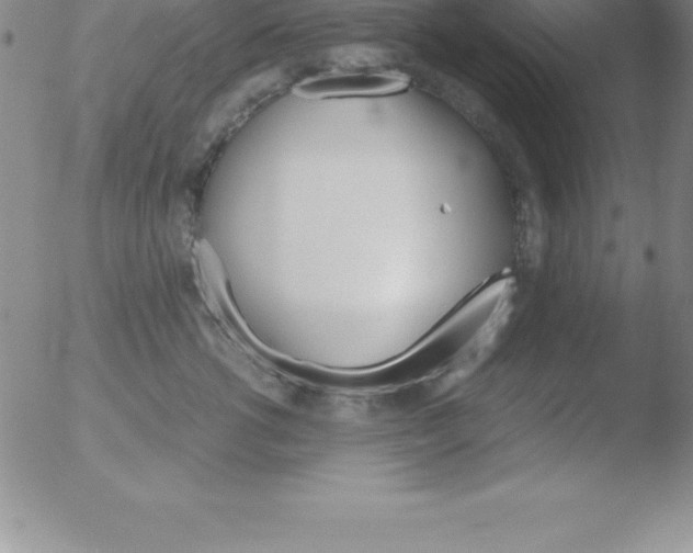 X0000051910762200507082029