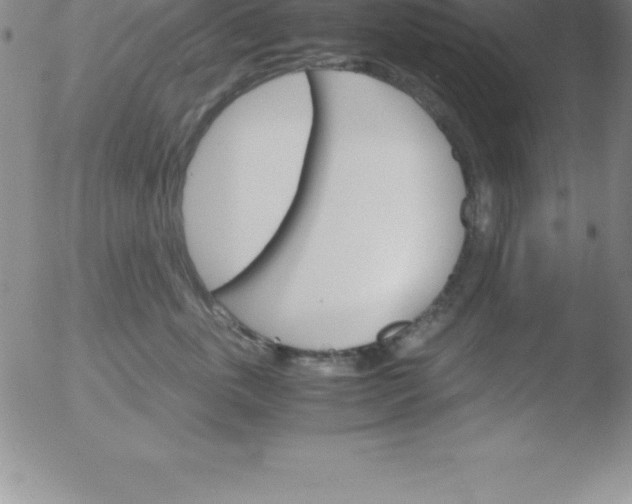 X0000051910763200507082029