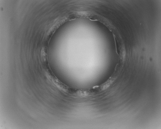 X0000051910764200507082029