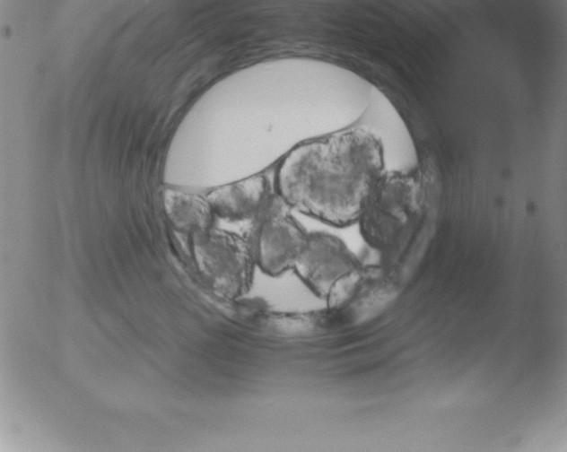 X0000051910765200507082029