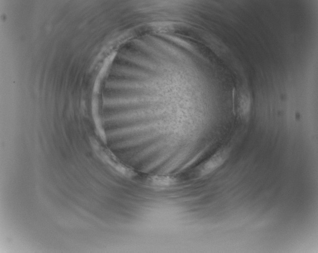 X0000051910766200507082029