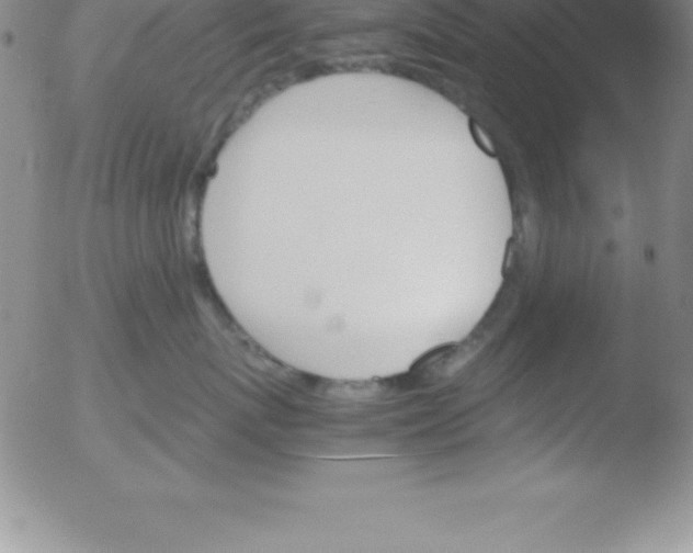 X0000051910767200507082029