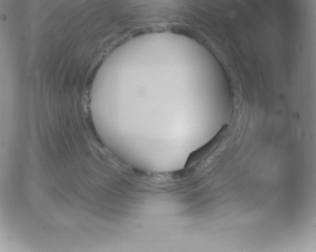 X0000051910768200507082029