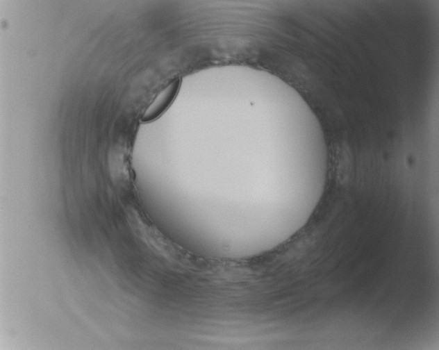 X0000051910770200507082028