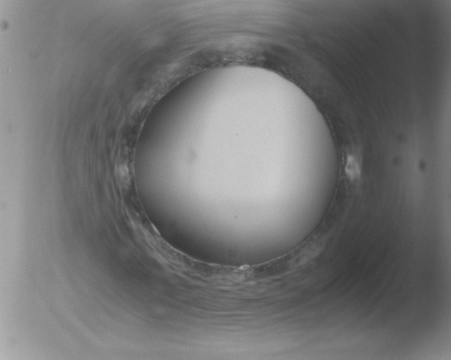 X0000051910771200507082028