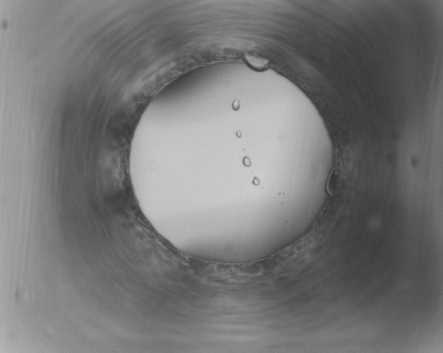 X0000051910774200507082028