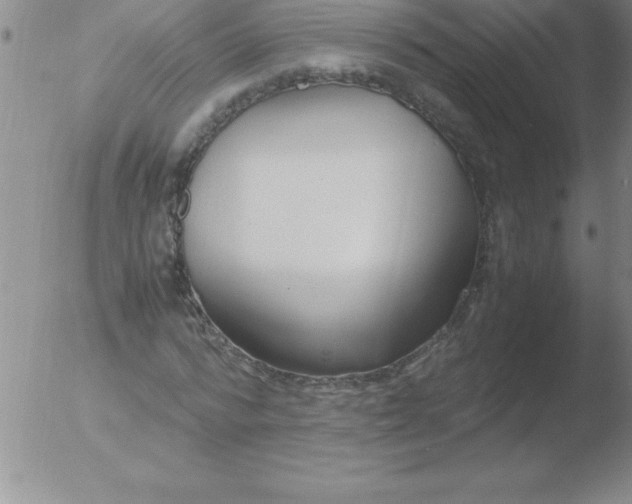 X0000051910776200507082028