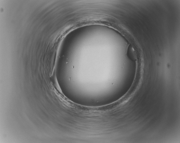 X0000051910777200507082028