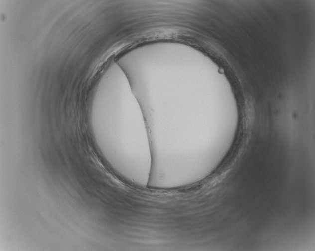 X0000051910778200507082028