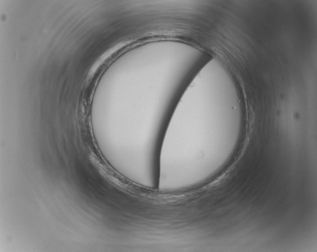 X0000051910779200507082028