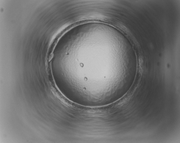 X0000051910780200507082028