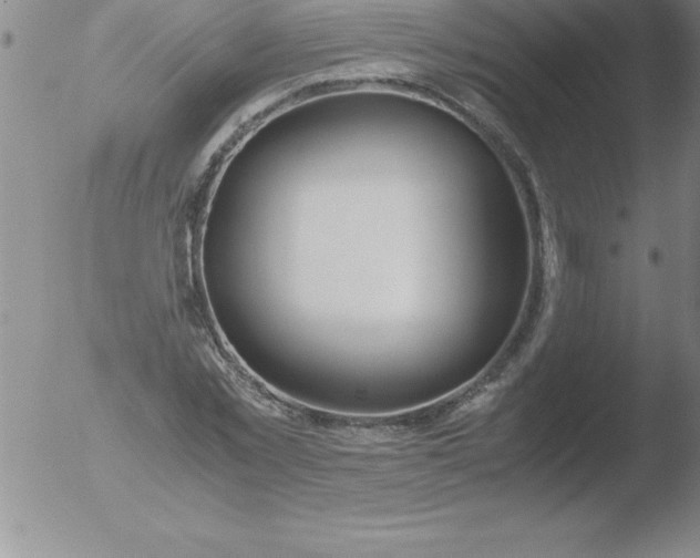 X0000051910781200507082028