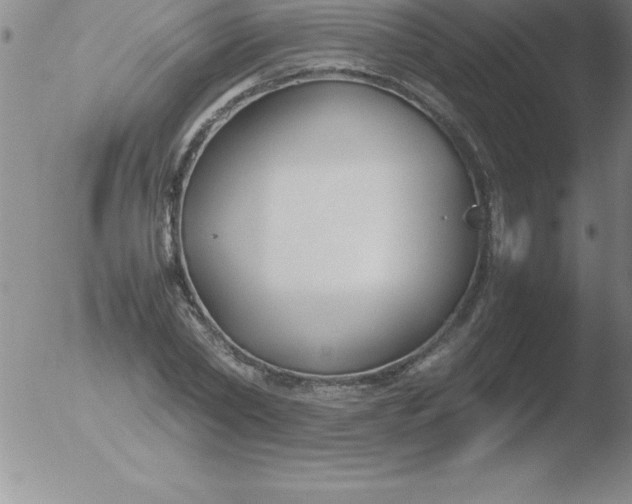 X0000051910782200507082028