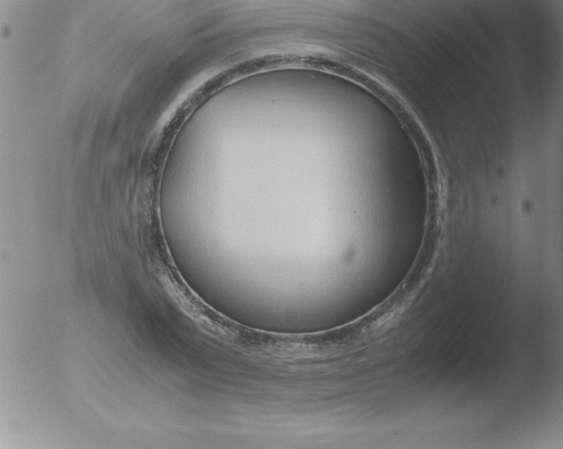 X0000051910783200507082028