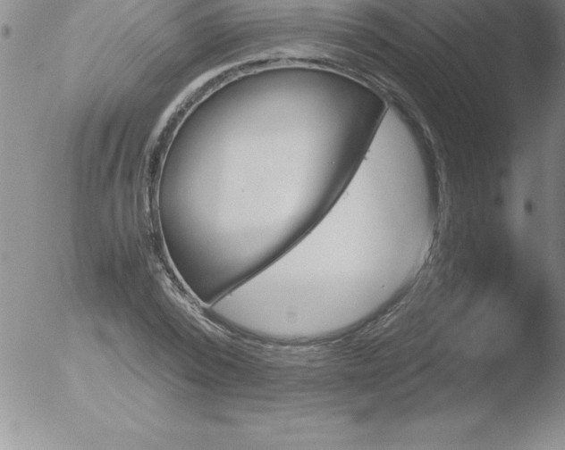 X0000051910784200507082028