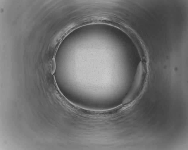 X0000051910785200507082028