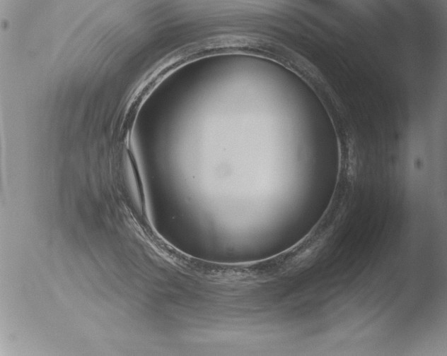 X0000051910786200507082028