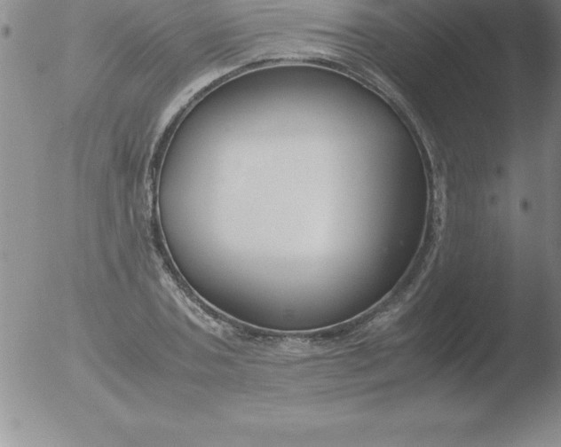 X0000051910787200507082028