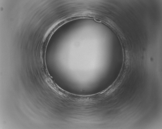 X0000051910788200507082028