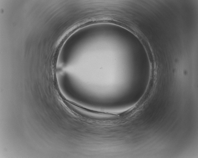 X0000051910789200507082028