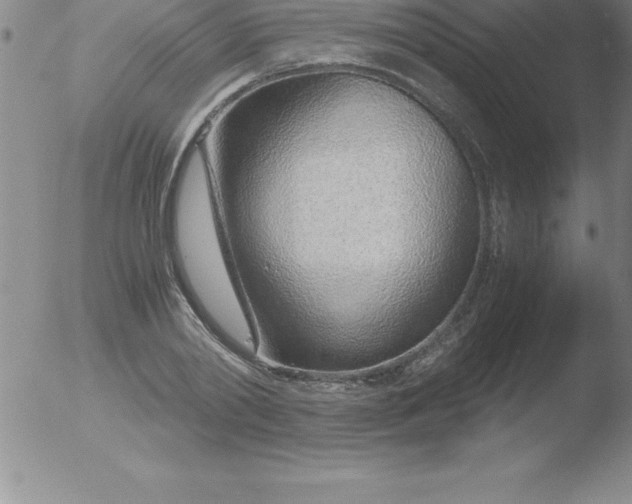 X0000051910790200507082028