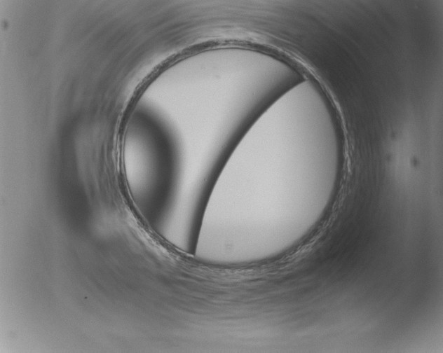 X0000051910791200507082028