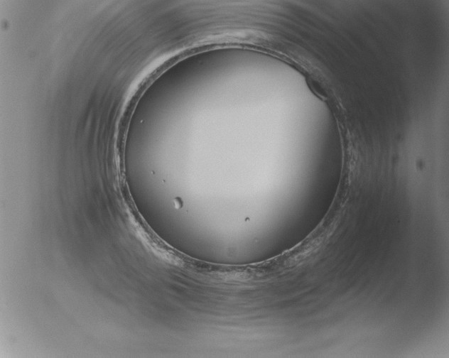 X0000051910792200507082028