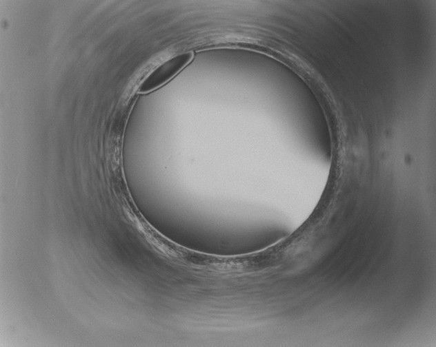 X0000051910793200507082028