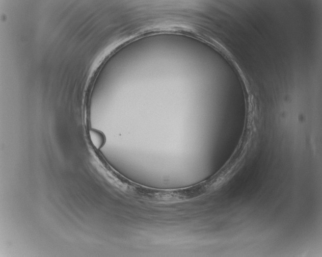 X0000051910795200507082028