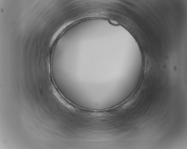 X0000051910796200507082028