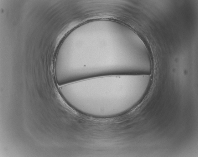 X0000051910797200507082028