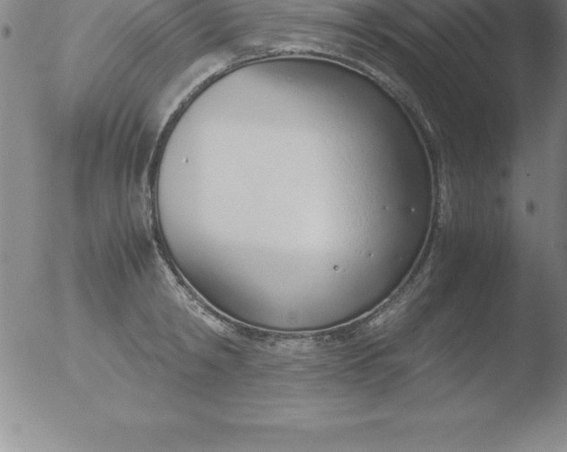 X0000051910798200507082028