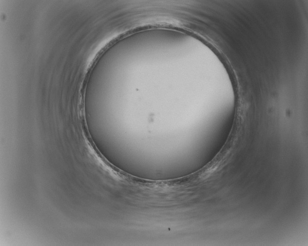 X0000051910799200507082028