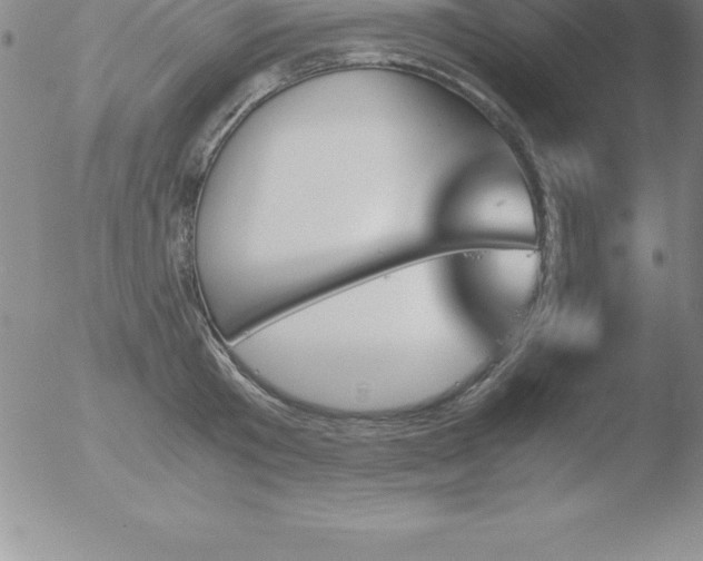 X0000051910801200507082028