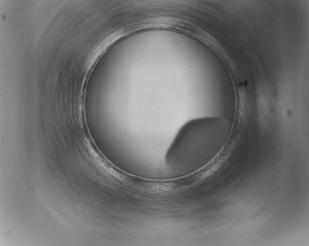 X0000051910802200507082028