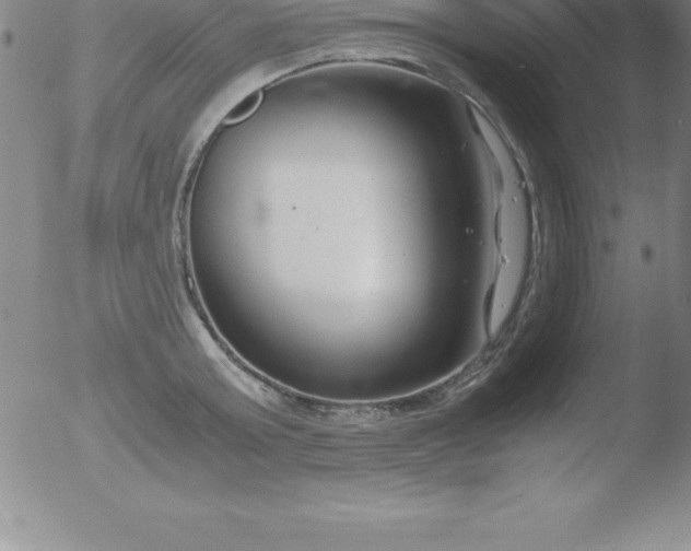 X0000051910803200507082028