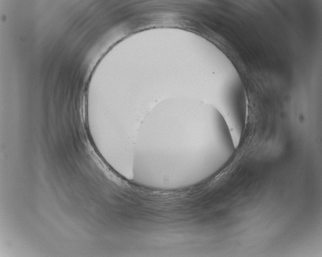 X0000051910804200507082028