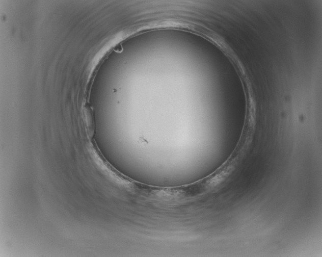 X0000051910805200507082028