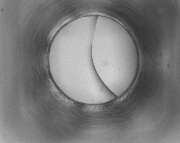 X0000051910806200507082028