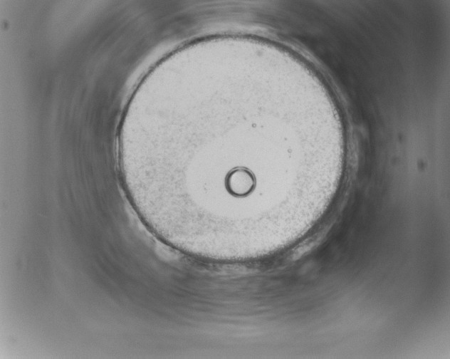 X0000051910807200507082028