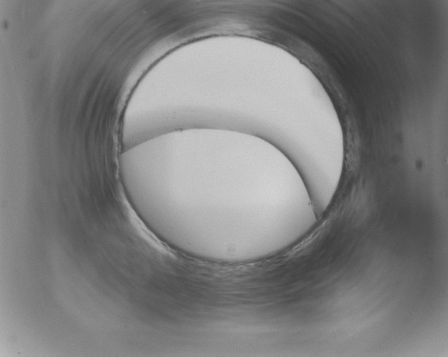 X0000051910808200507082028