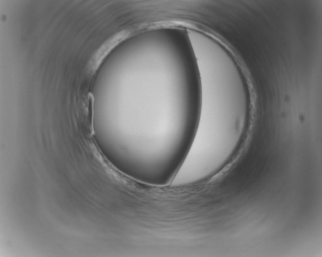 X0000051910809200507082028