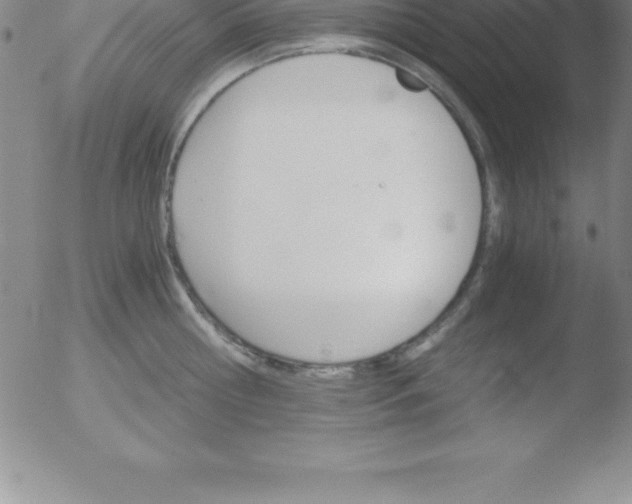 X0000051910810200507082028