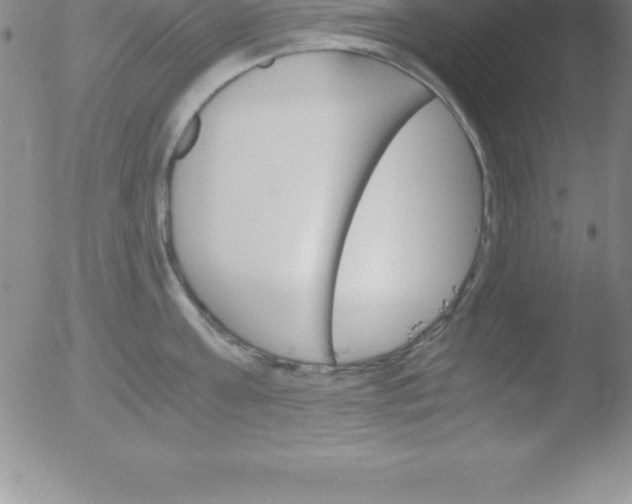 X0000051910811200507082028