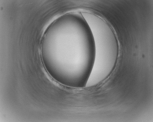 X0000051910813200507082028